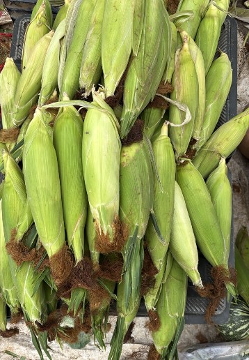 Corn