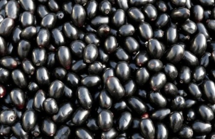 Jamun