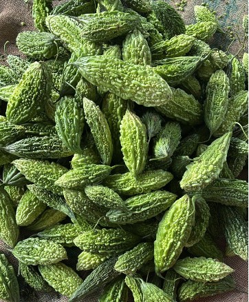 Karela-Desi