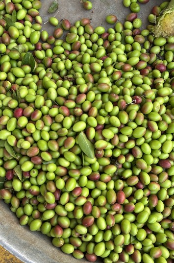 Karunje