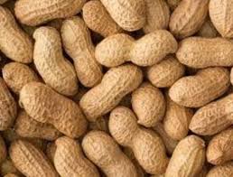 Moongfali-Groundnuts