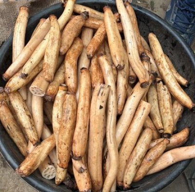 Kamal kakadi-Lotus stem